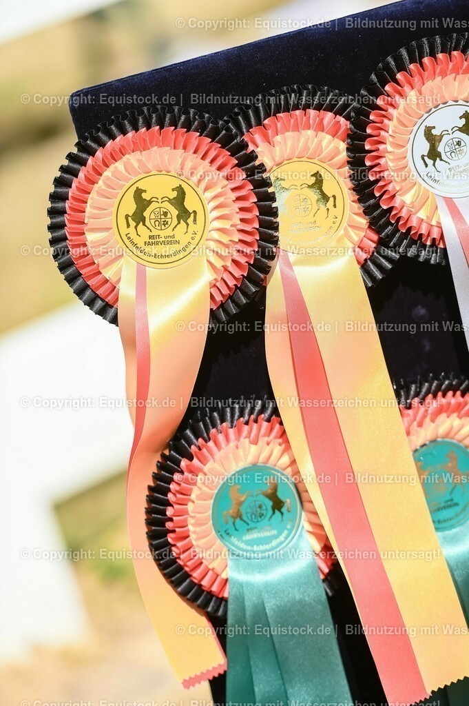 20230715_07_Dressurpferdeprfg. Kl.L_0204 | equistock