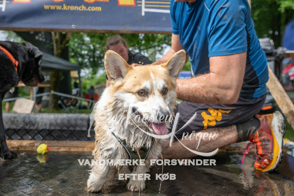 1013_ZZ90183 | kk-dogfotos