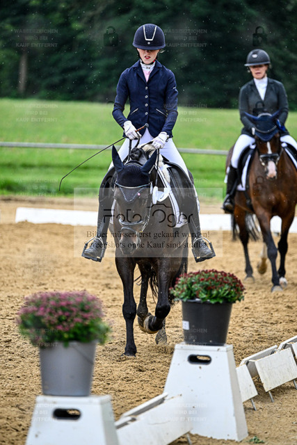 Reitturnier Hasbergen | Entdecke hochwertige Reitturnierfotos von Foto Oger. Professionell, emotional und authentisch – jetzt Lieblingsmomente im Shop bestellen. - Realisiert mit Pictrs.com