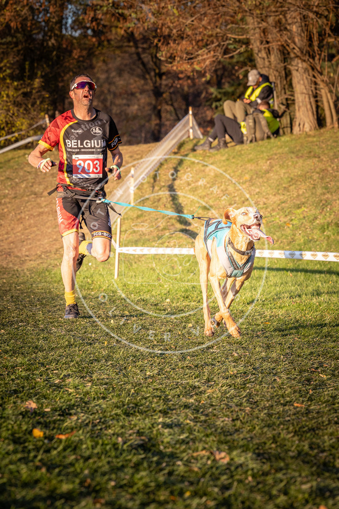 CaniXpix_0L8A1382 | Hundefotografie, Tierfotograf, Pfotenfotografie, Fotoshooting Hund, Hunde Portrait, Hundesport, Hundeportraits, Heideshooting, Hunde, Sportfotograf, Hundefotograf, Turnierhundsport, THS,  - Realisiert mit Pictrs.com