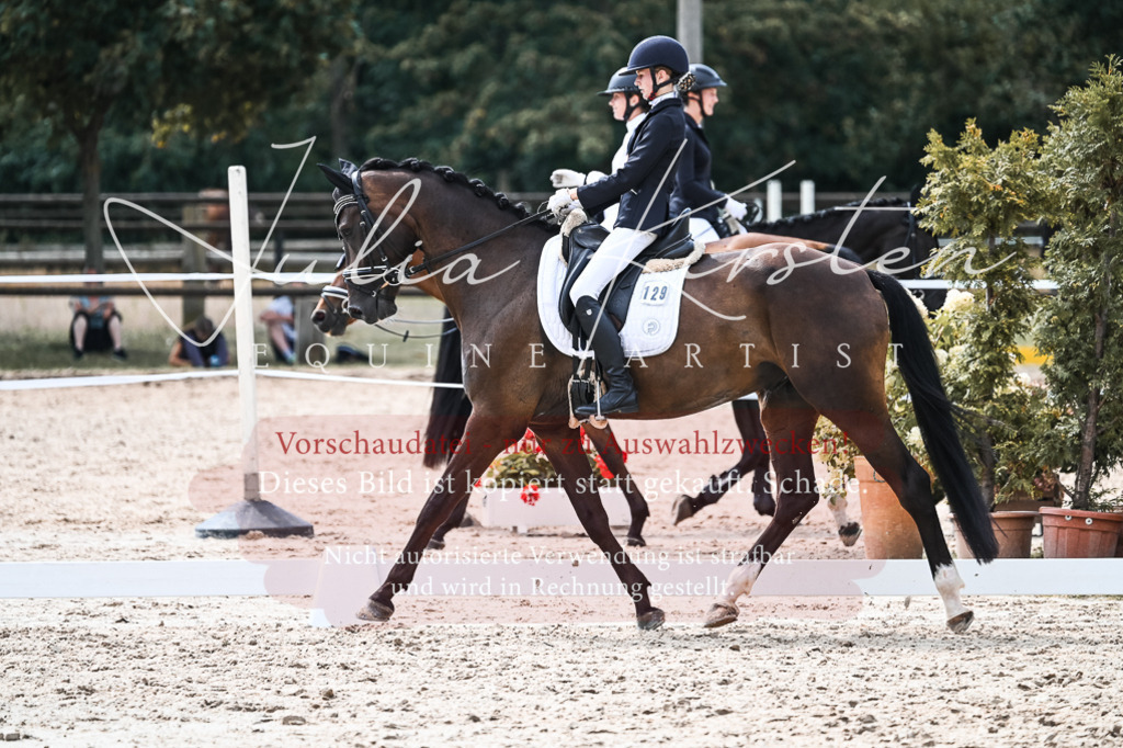 DSC_5173 | Pferde- und Turnierfotografie in Westsachsen. Pferdeportraits, Auftragszeichnungen und intuitive Kunst.