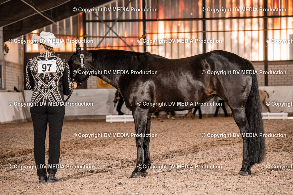 ZH100119 | dv-media-shop - Realisiert mit Pictrs.com