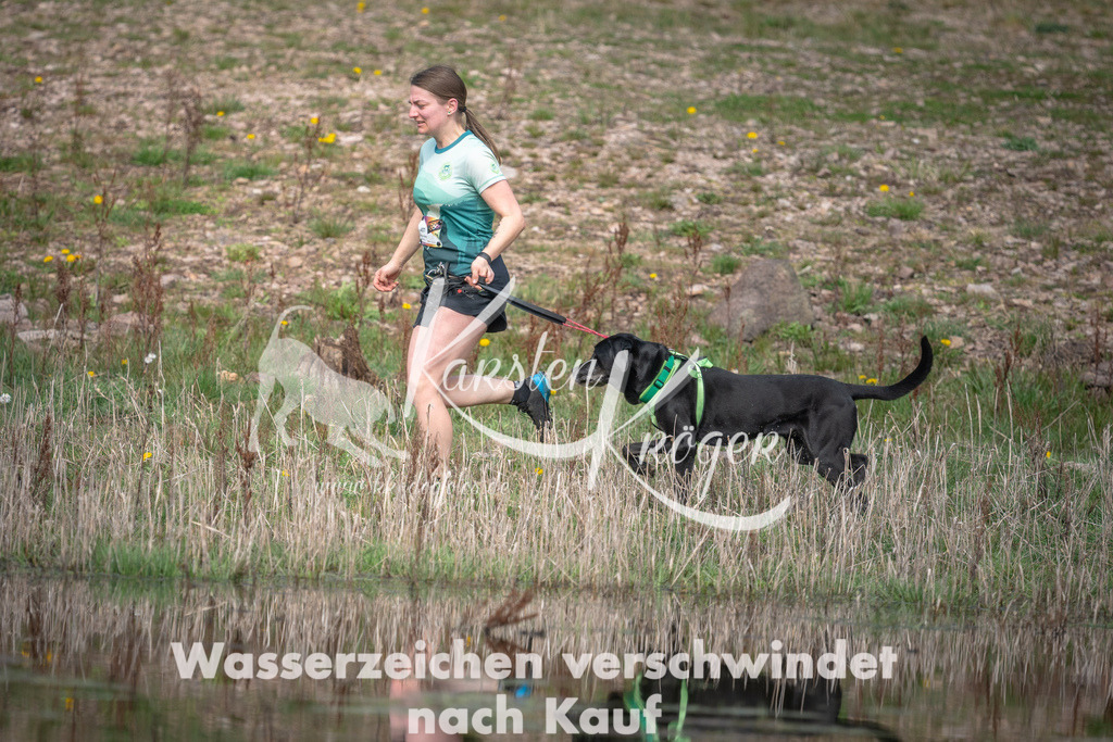 1107DZ6_2663 | kk-dogfotos