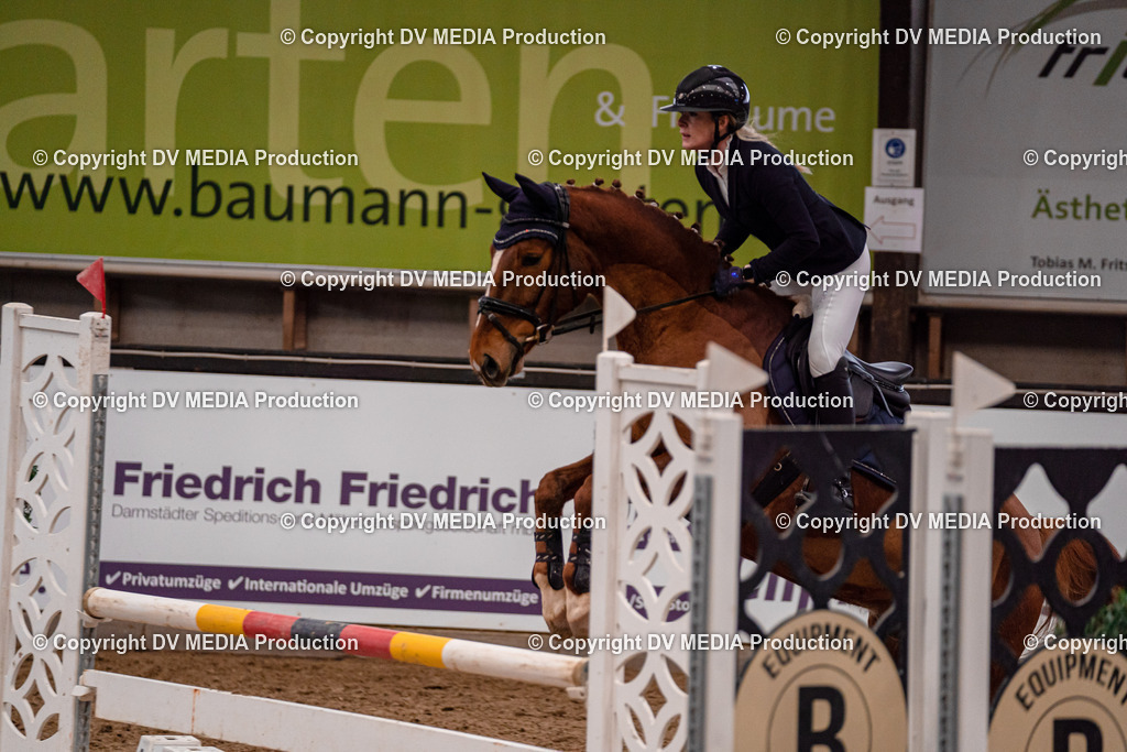 Kranichstein Tag 2-300 | dv-media-shop - Realisiert mit Pictrs.com