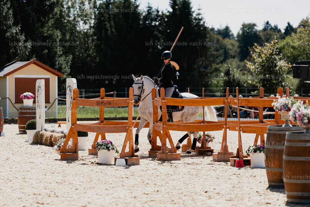 Virginie12FHC2025-08582 | working equitationturnier fotograf videograf stoibphotography marixx film working equitation deutschland reitsport turnierfotografie eventfotografie equestrian events