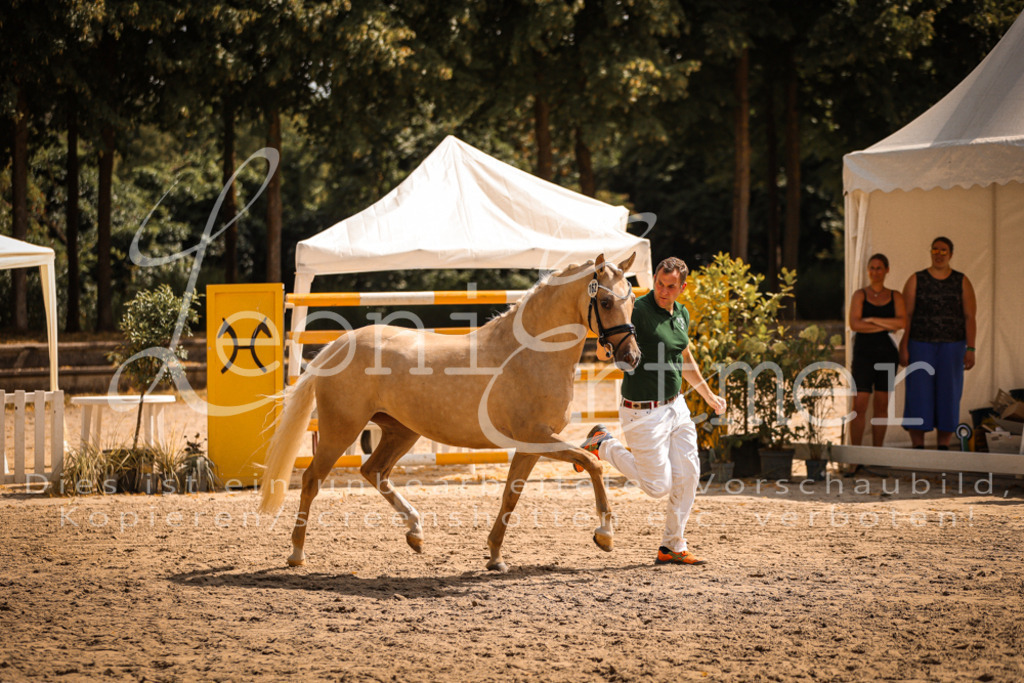 11.So00104 | Leoni Ertmer Photography - Realisiert mit Pictrs.com