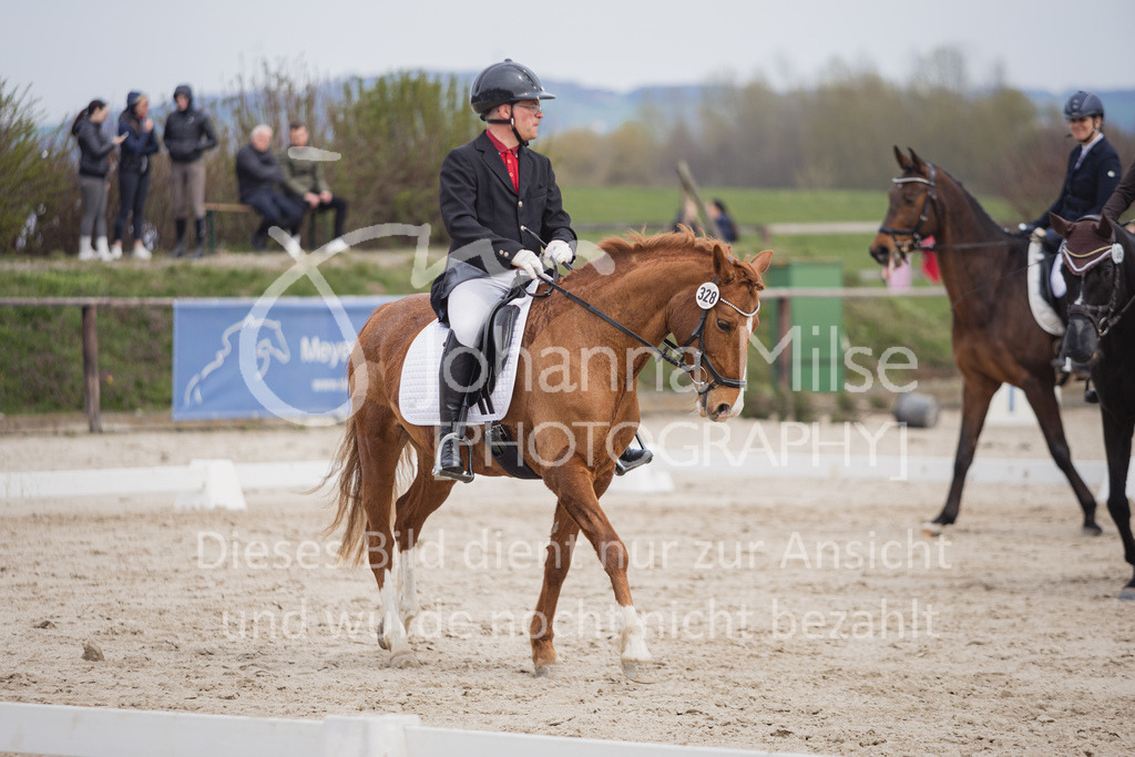 230410_Frühlingsfest_DressurWBA2-330 | Deine schönsten Turniermomente als professionelle Fotos! Entdecke hochwertige Pferdesport-Fotografie im Online-Shop. Jetzt Fotos finden & bestellen!