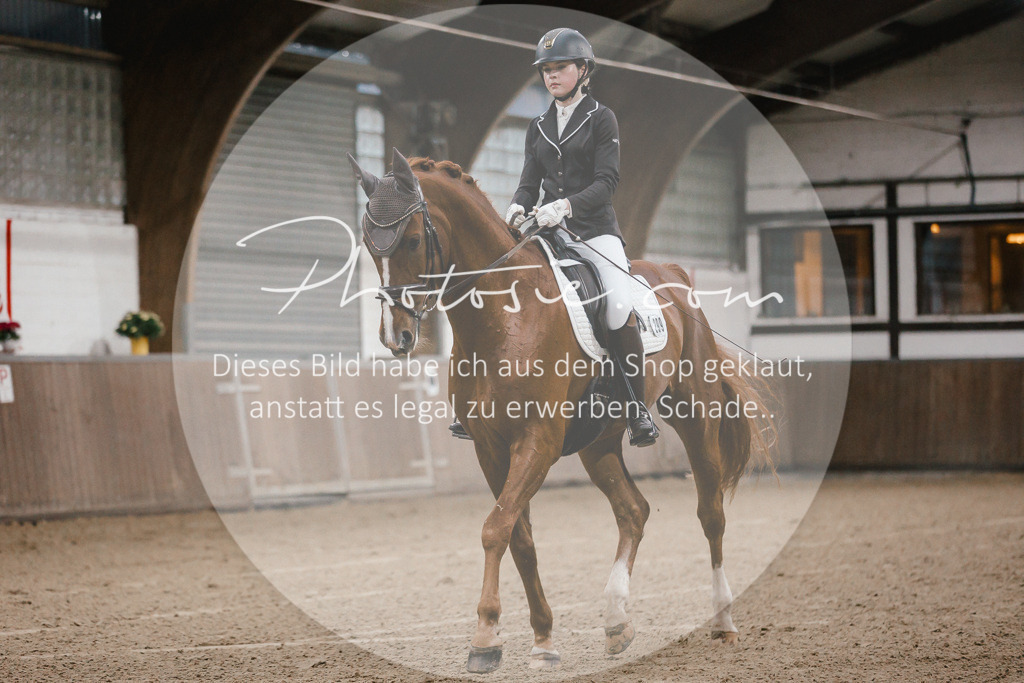 3I6A5918 | Stimmungsvolle Portraits und Reitsportfotografie im Ruhrgebiet und im Münsterland.

Pferdefotografie, Hundefotografie, Tierfotografie, Reportagen, Portraits von Tier und Mensch, Turnierfotografie in Bochum, Recklinghausen, Marl, Haltern am See, Dülmen.. - Realisiert mit Pictrs.com