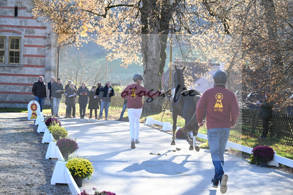 Impressionen_47250995 | hf-fotografie - Realisiert mit Pictrs.com