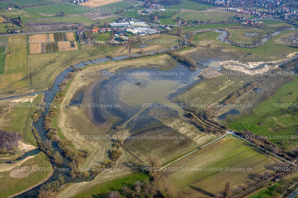 Lippetal240306931Lippborg | Luftbild, Fluss Lippe Mäander und See Disselmersch, am See die Beobachtungshütte Disselmersch Nationales Schutzgebiet, hinten DELMANN Pflanzenhof und Blumenhaus Blumen-Großhändler, Heintrop, Lippetal, Nordrhein-Westfalen, Deutschland