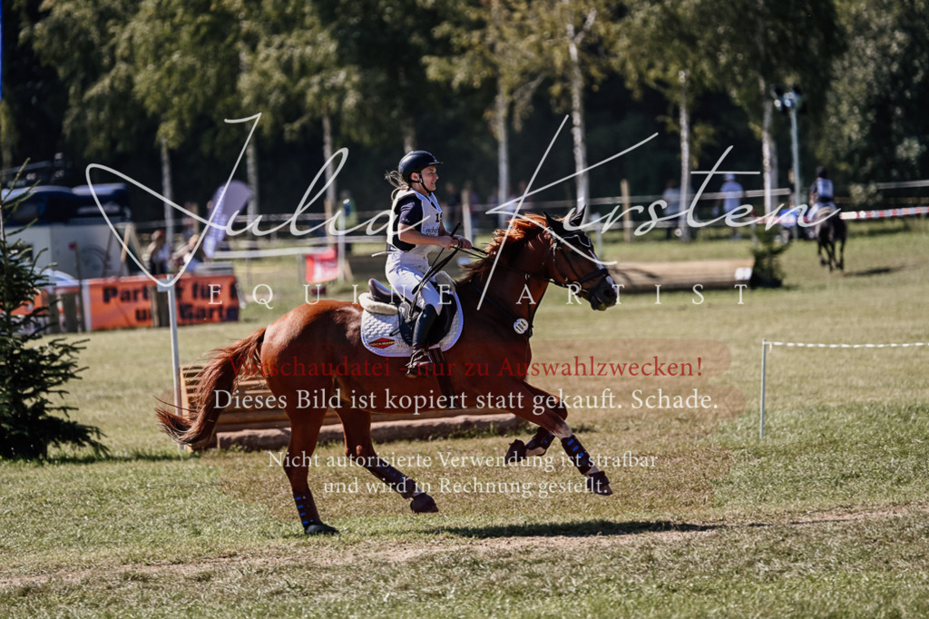 DSC_1903 | Pferde- und Turnierfotografie in Westsachsen. Pferdeportraits, Auftragszeichnungen und intuitive Kunst.