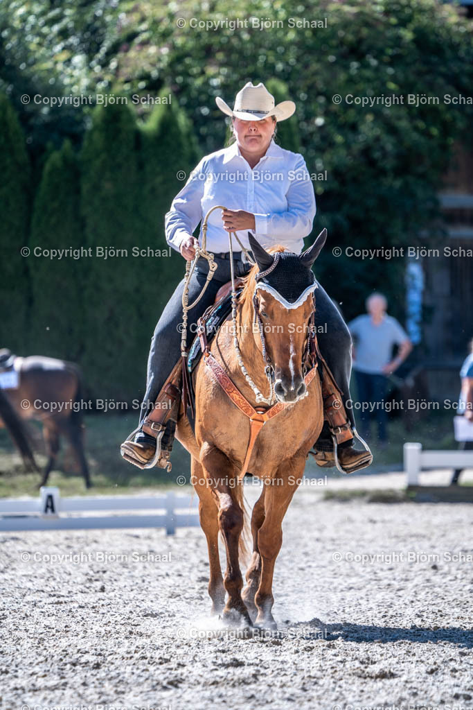 HOB09133 | BS-foto