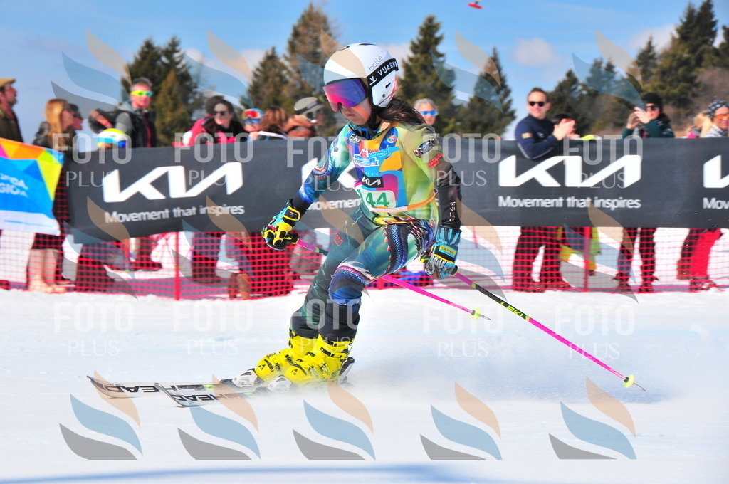 DSC_1221 | holidayphoto