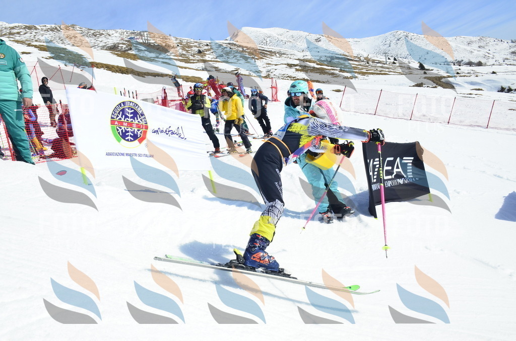 _ELE1081 | holidayphoto