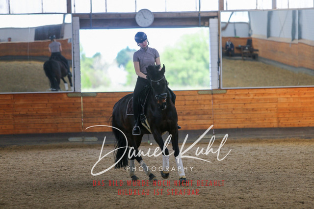 IMG_3522 | Turniersportfotografie; Pferdefotografie; Dressurfotografie
