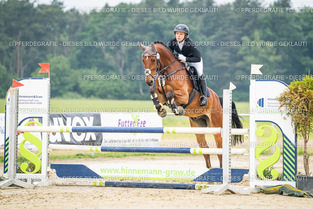 DSC09855 | Pferdegrafie