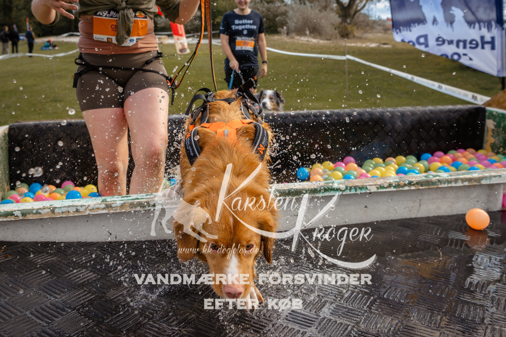 1358_ZZ93156-2 | kk-dogfotos