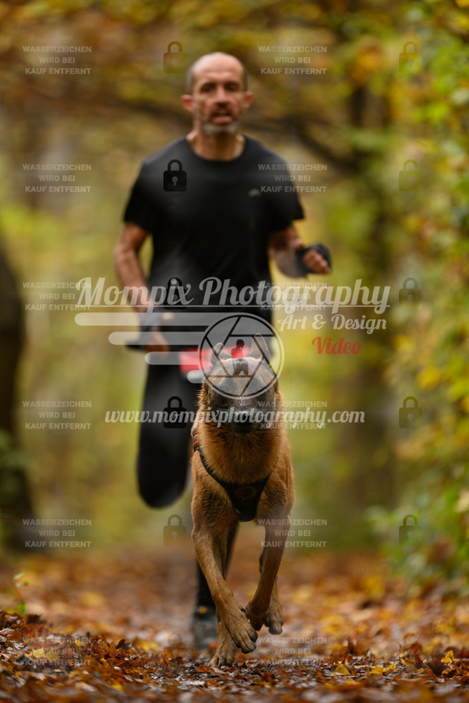 MompixPhotography_CD7S_DI_CCL-16 | mompixphotography