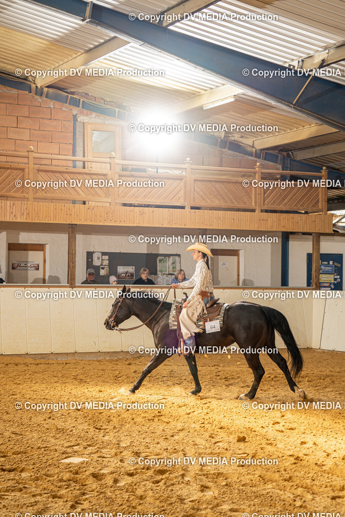 MIT00938 | dv-media-shop - Realisiert mit Pictrs.com