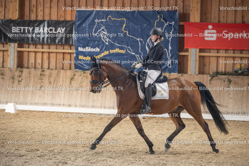 _D5A6019 | Emotionale Pferde- & People-Fotografie rund um Heidelberg, Leimen & Umgebung. Natürliche Fotos von Pferd, Mensch & Familie. Jetzt Termin sichern!