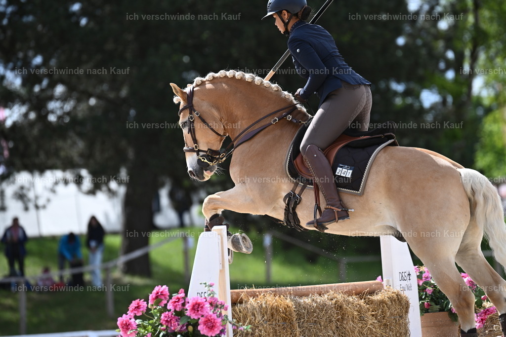 PI26_ST_Sara_Landvogt226_2273.JPG | working equitationturnier fotograf videograf stoibphotography marixx film working equitation deutschland reitsport turnierfotografie eventfotografie equestrian events