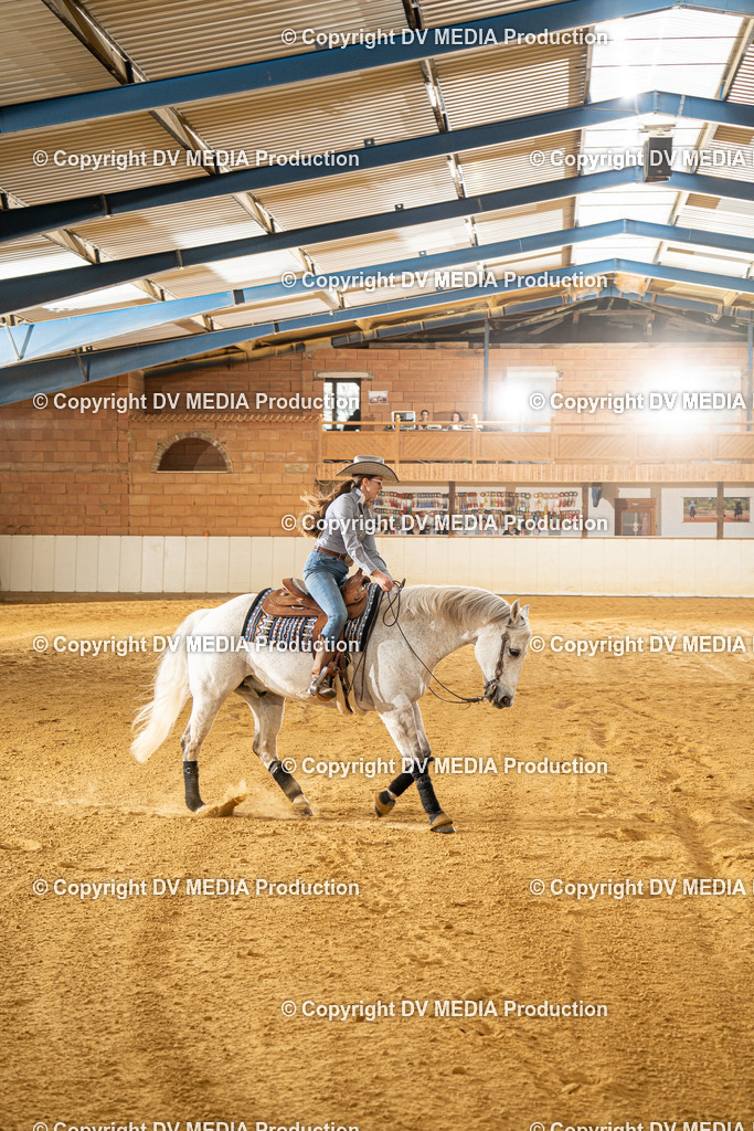 MIT00487 | dv-media-shop - Realisiert mit Pictrs.com