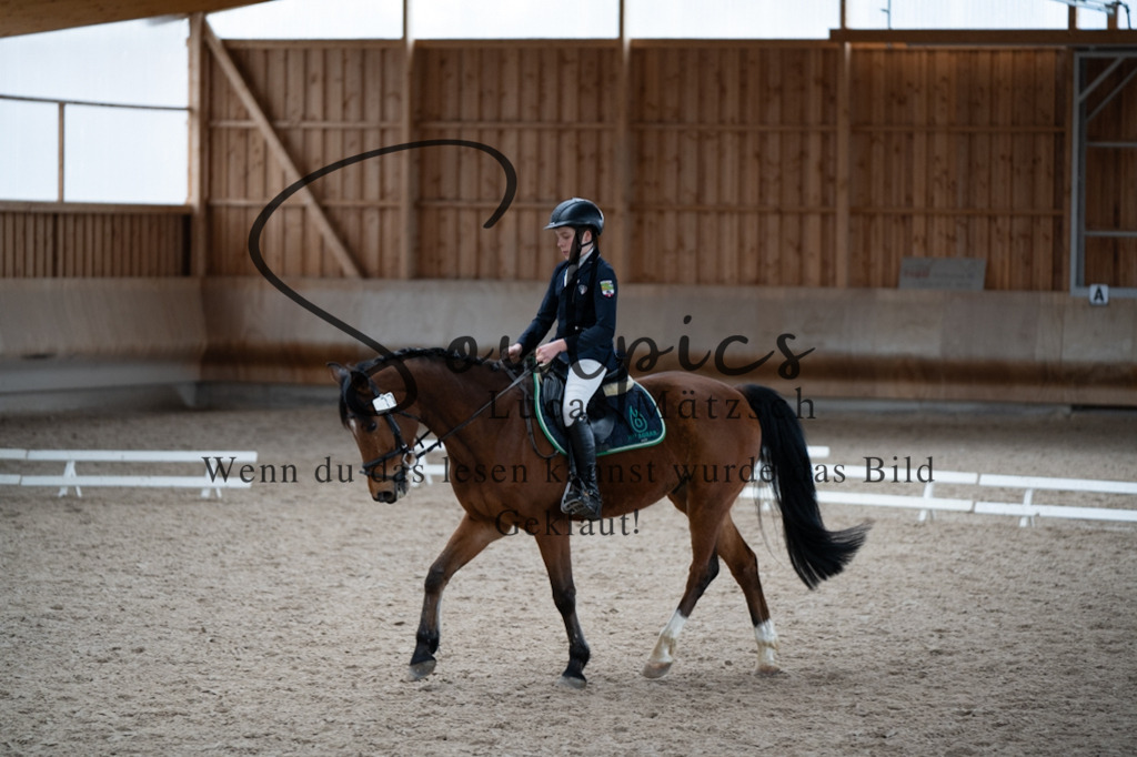 A7V09782 | Pferdefotograf