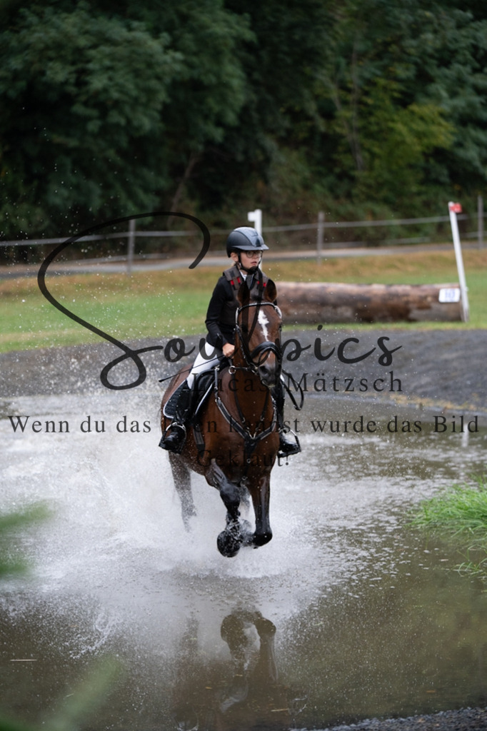 A7V00076 | Pferdefotograf