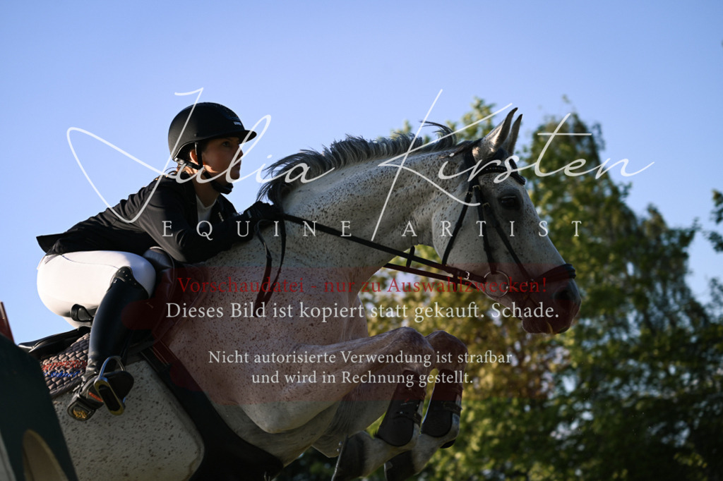 DSC_1804 | Pferde- und Turnierfotografie in Westsachsen. Pferdeportraits, Auftragszeichnungen und intuitive Kunst.