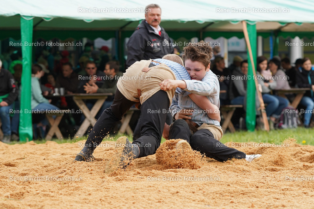 20220423-DSC08018 (2) | René Burch leidenschaftlicher Fotograf aus Kerns in Obwalden.  Hier finden sie Sport, Landschaft und Natur Fotografie.
 - Realisiert mit Pictrs.com