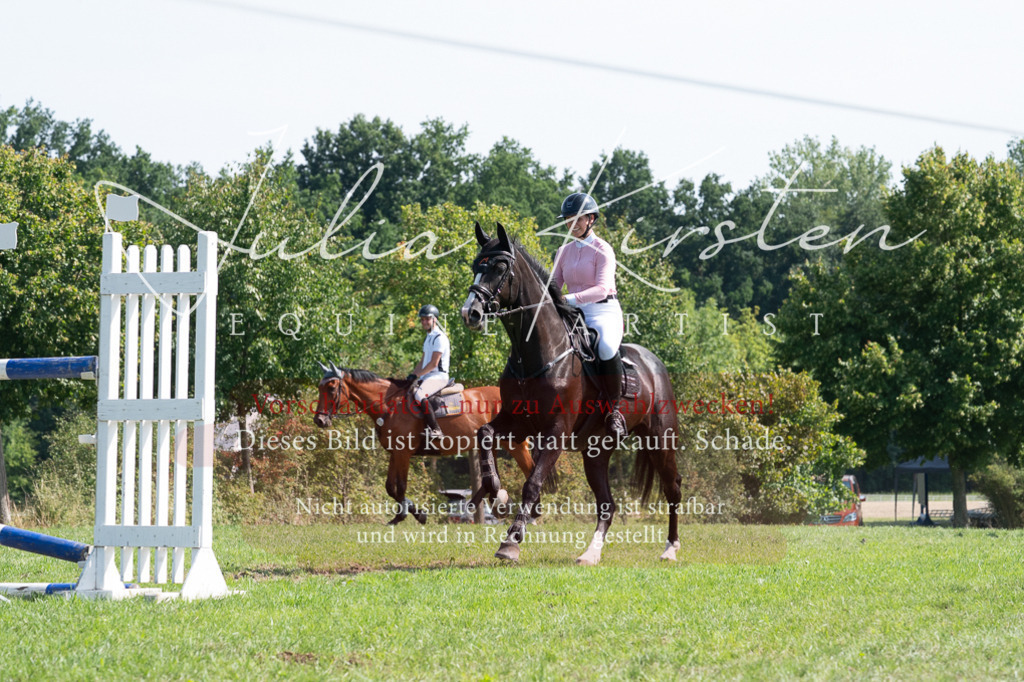 DSC_0861 | Pferde- und Turnierfotografie in Westsachsen. Pferdeportraits, Auftragszeichnungen und intuitive Kunst.