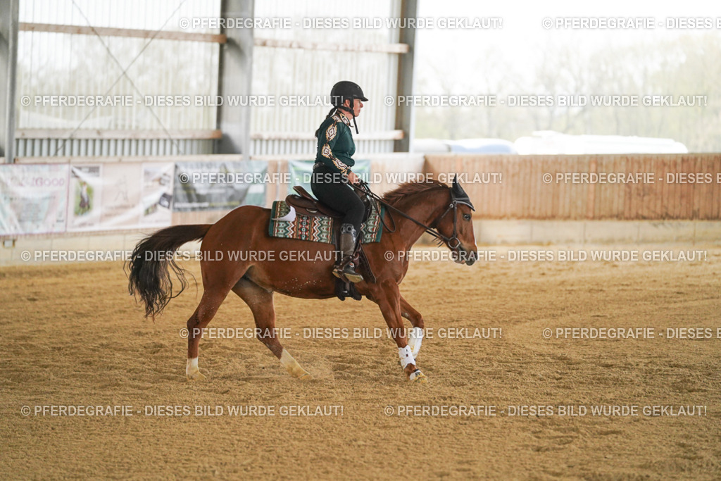 DSC08104 | Pferdegrafie