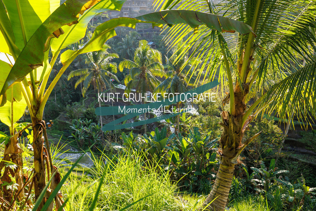 230720-1349 - Kopie | onlinegalerie und Fotoshop Kurt Gruhlke Fotograf Berlin
Hochzeitsfotograf Eventfotograf Portraitfotografie
 - Realisiert mit Pictrs.com