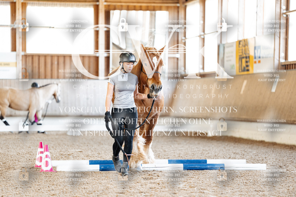 CK905463 | Turnierfotografie Pferdefotografie Trier Rheinland-Pfalz Pferdesport Reitsport Tierfotografie Sportfotografie Pferdevideo Pferdevideografie Equestrianvideography equestrianphotography  - Realisiert mit Pictrs.com
