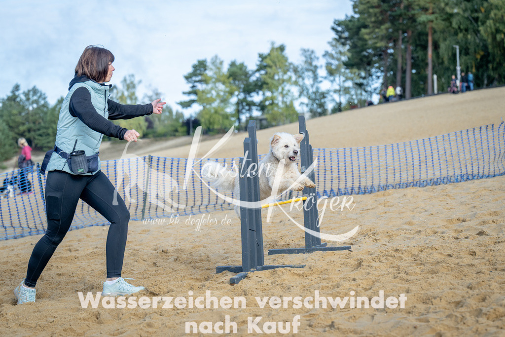 0955_ZZ93136 | kk-dogfotos