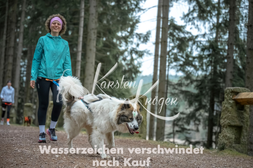 0825_ZZ91302 | kk-dogfotos