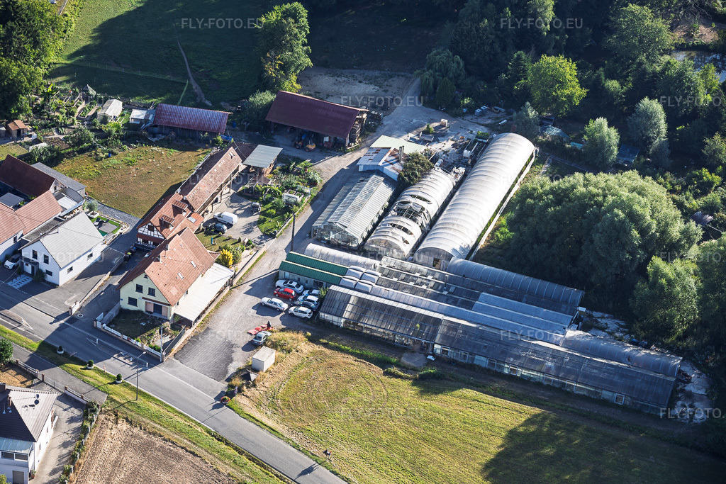 Vue aérienne: Autowerkstatt Chez Jerome an der Gärtnerei à Hoffen dans le département Bas Rhin, France – .Photo: IMG_158251.jpg prise le 25/07/2026 par Werner Riehm/FLY-FOTO.eu – Résolution de l'original: 6000 x 4000 px