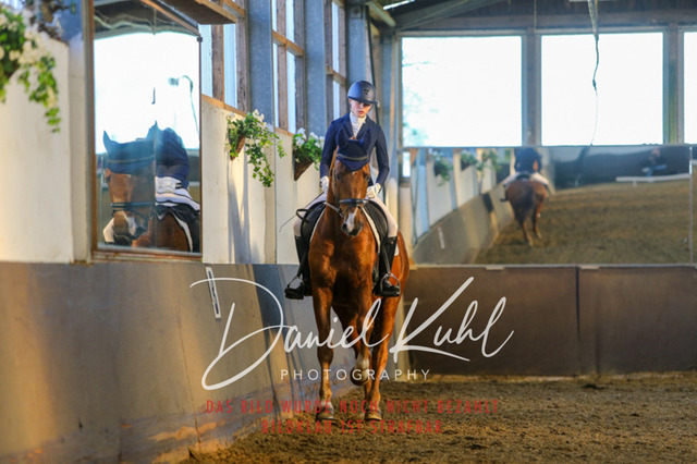 IMG_3307 | Turniersportfotografie; Pferdefotografie; Dressurfotografie