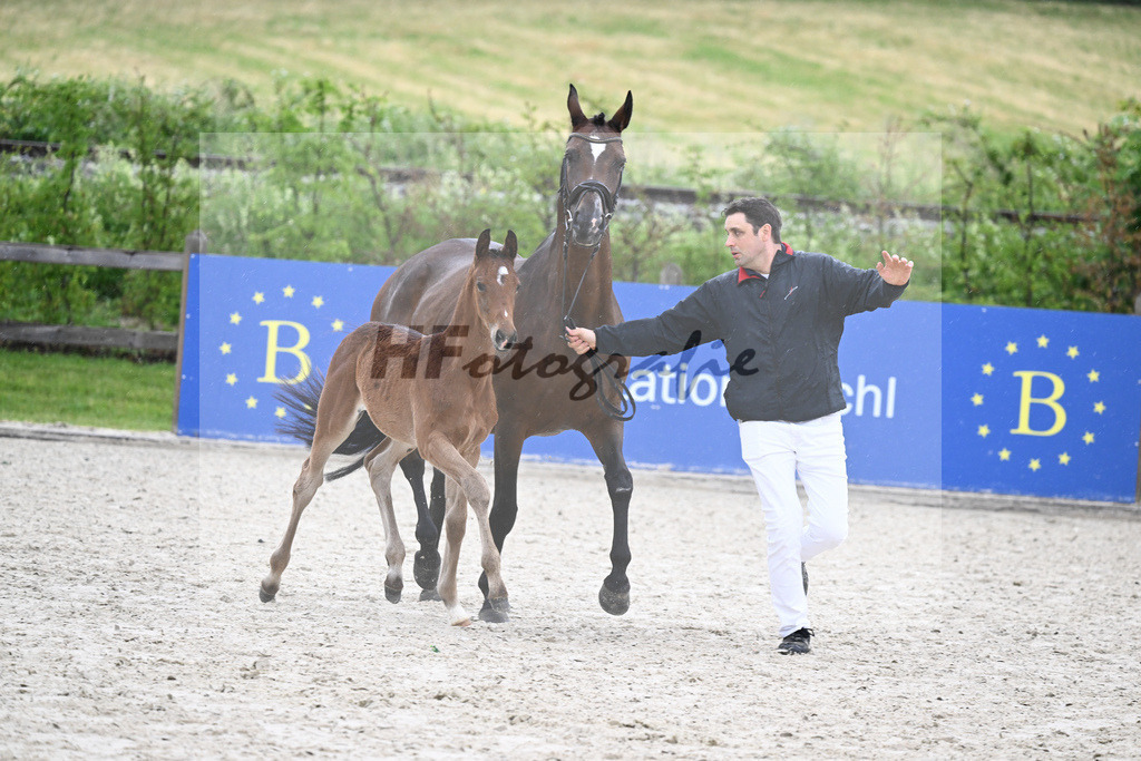 Kat-Nr. 48 HF Benicio_Fischer_17231531 | hf-fotografie - Realisiert mit Pictrs.com