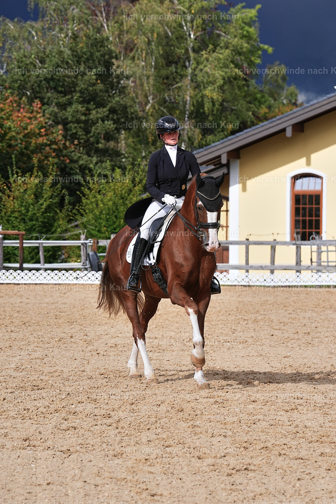 07-201-DRESSUR  S___  -Marixx-5173 | working equitationturnier fotograf videograf stoibphotography marixx film working equitation deutschland reitsport turnierfotografie eventfotografie equestrian events