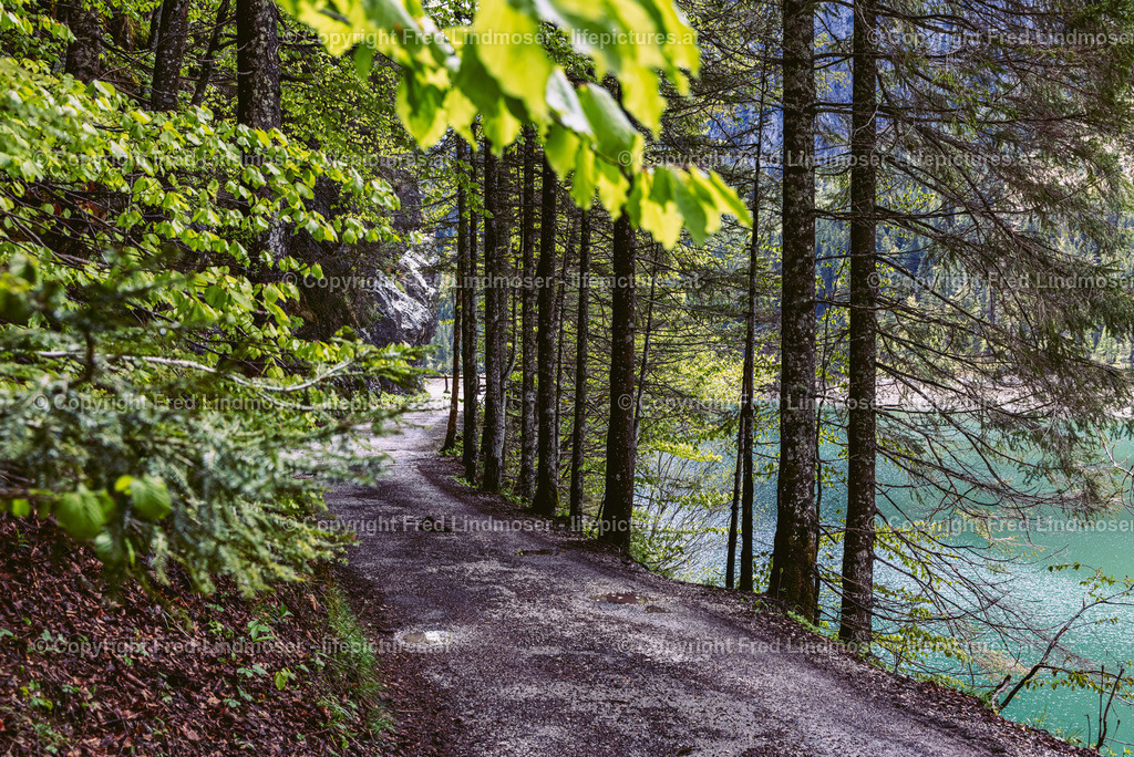 Gosau-4146 | Fotos und Fotoprodukte - Realisiert mit Pictrs.com