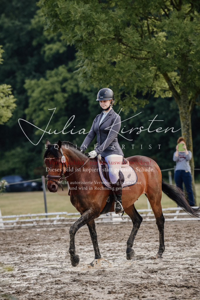 DSC_8327 | Pferde- und Turnierfotografie in Westsachsen. Pferdeportraits, Auftragszeichnungen und intuitive Kunst.