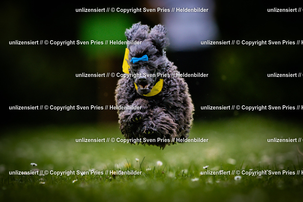 Sven Pries | 2025-05-29 - Pudelrennen KA-Durlach - Realisiert mit Pictrs.com