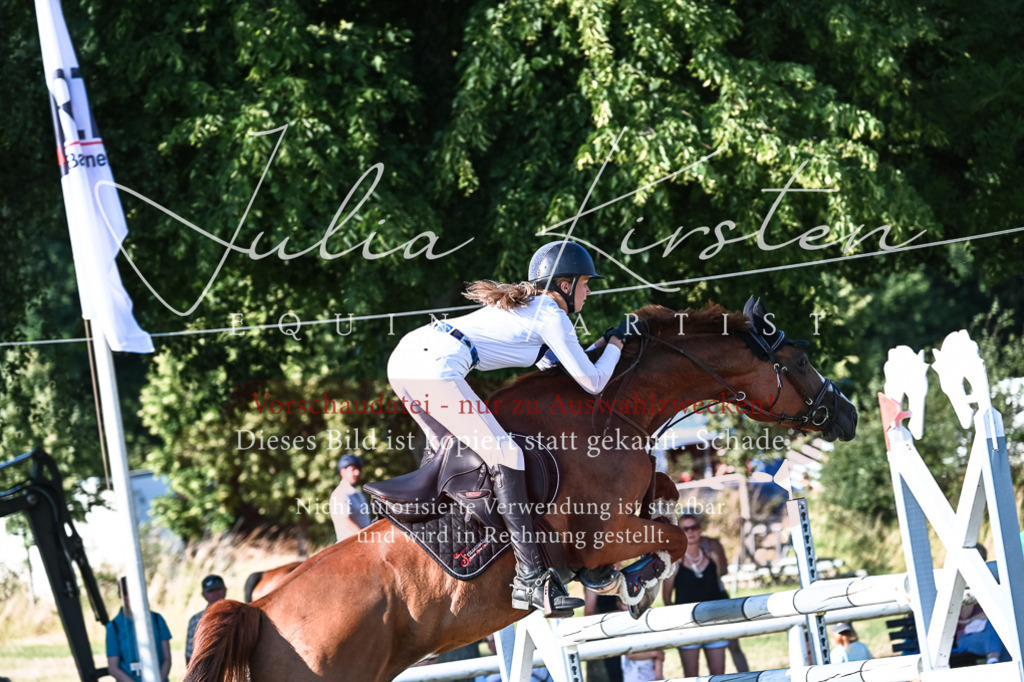 DSC_2792 | Pferde- und Turnierfotografie in Westsachsen. Pferdeportraits, Auftragszeichnungen und intuitive Kunst.