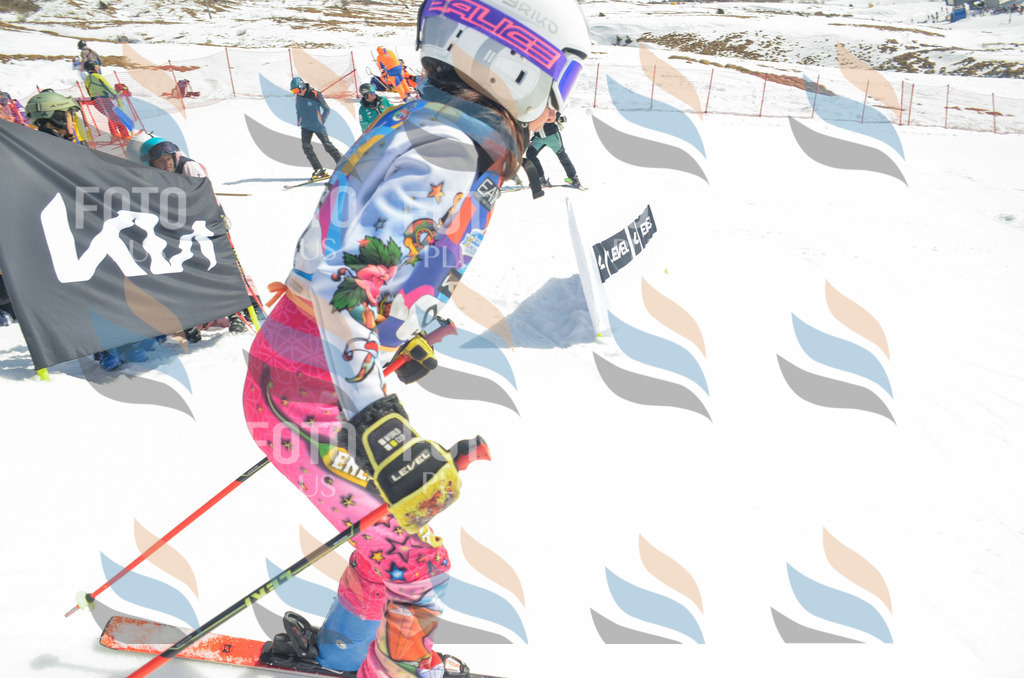 _ELE5715 | holidayphoto