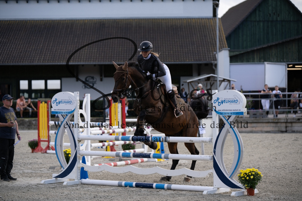 A7V07790 | Pferdefotograf