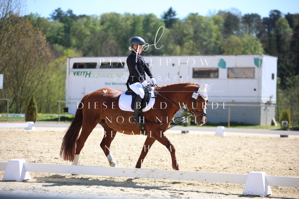 IMGT0748 | pl-fotografie