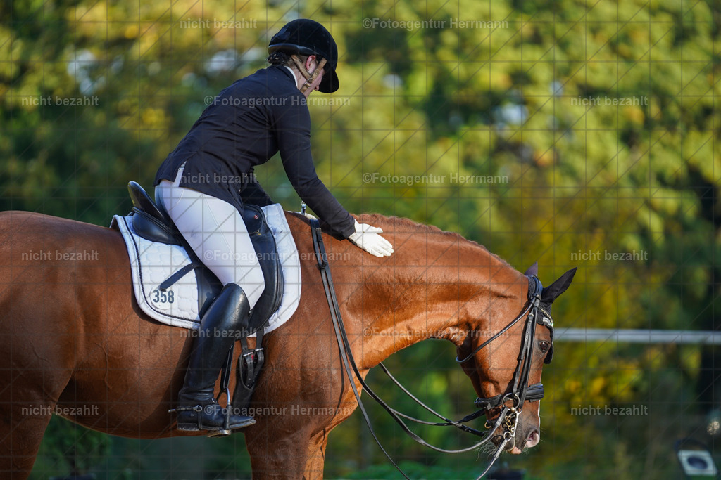 20221007-FAH00250 | Diessen am Ammersee, 2022, Dressur- und Springturnier, Reitsportbilder, Turnierfotografen Bayern, Pferdefotografen, Fotoagentur Herrmann, Turnierbilder