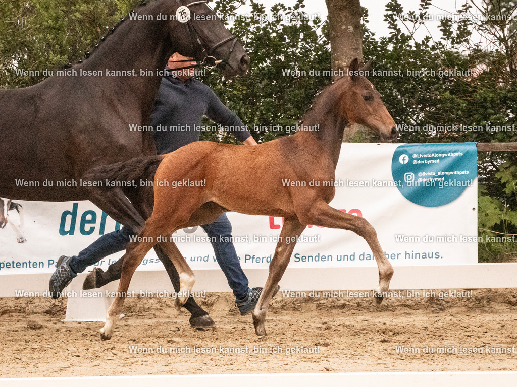 A10I1558 | photographylinaismer - Realisiert mit Pictrs.com