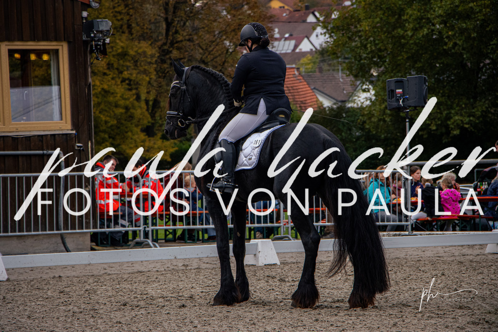 IMG_1397 | Erleben Sie dynamische Sport- und emotionale Tierfotografie in Süddeutschland mit Fotos von Paula. Spezialisiert auf Pferde- und Hundefotografie sowie Sportevents. Kontaktieren Sie mich für einzigartige und ausdrucksstarke Bilder Ihrer besonderen Momente. - Realisiert mit Pictrs.com